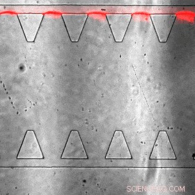 Micropropellers Enhance Convection-Driven Nanoparticle Delivery