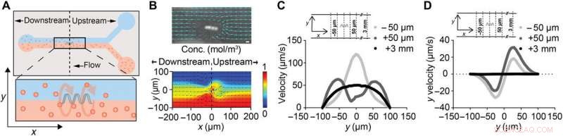 Micropropellers Enhance Convection-Driven Nanoparticle Delivery