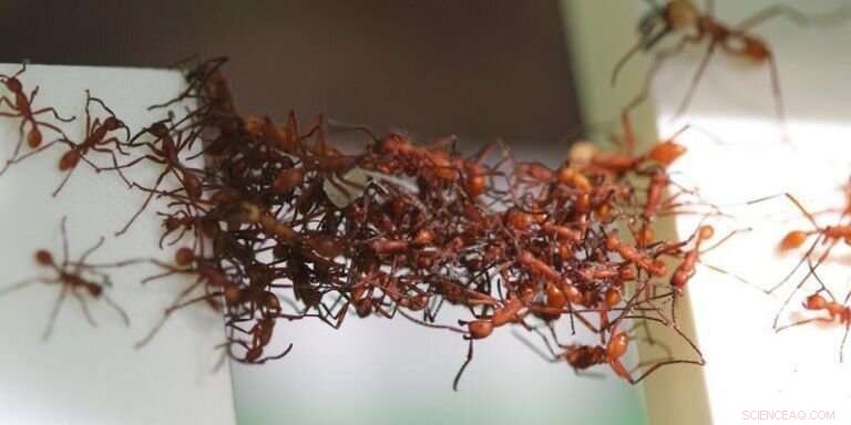 Ant-Inspired Nanoparticle Bridges Repair Faulty Electrical Circuits