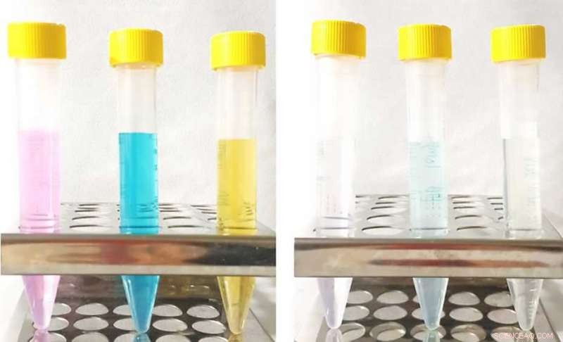 Revolutionizing Wastewater Treatment: Magnetic Nanoparticles Efficiently Remove Microcontaminants
