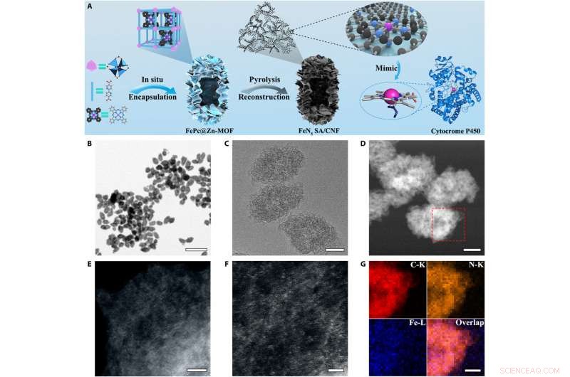 FeN5 Single-Atom Nanozymes Confined in Carbon Nanoframes: Design, Synthesis, and Morphology