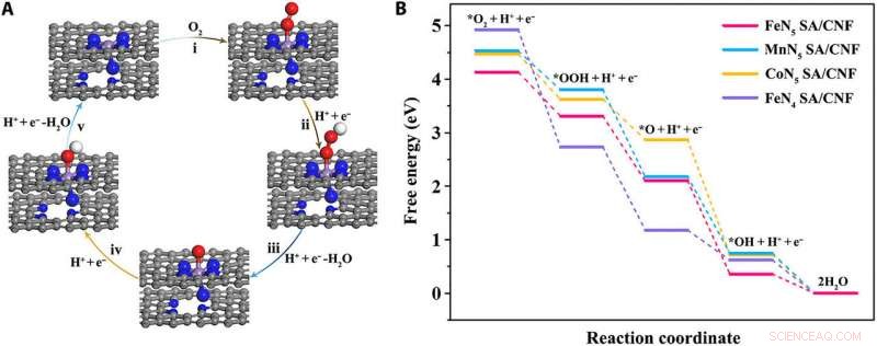 FeN5 Single-Atom Nanozymes Confined in Carbon Nanoframes: Design, Synthesis, and Morphology