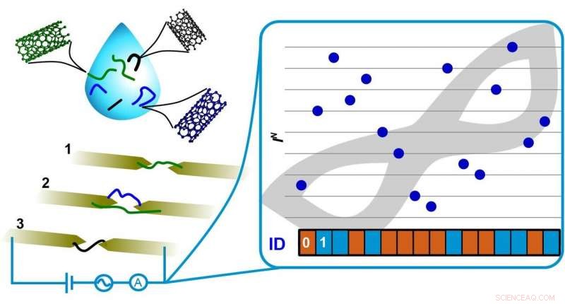Carbon Nanotube Technology: A Powerful Defense Against Counterfeiting