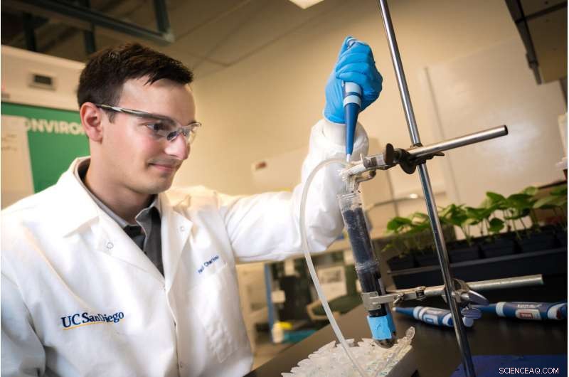 Harnessing Plant Viruses to Target Pests and Boost Crop Health