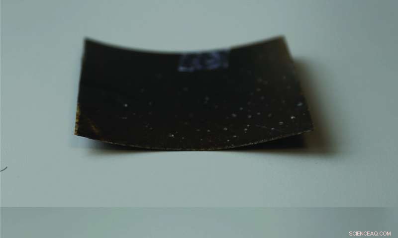 Spider-Inspired Sensors Enhance Autonomous Drones and Cars  Object Detection