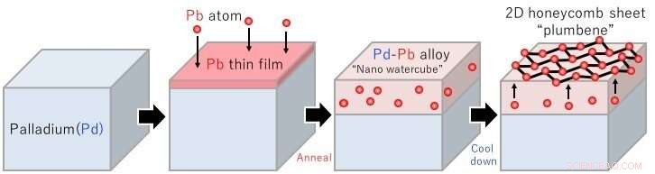 Plumbene: A Novel 2D Lead Monolayer Formed on Palladium