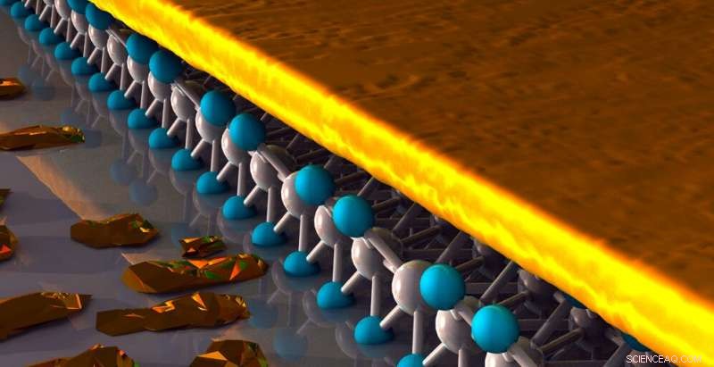 Physicists Create Atomically Thin Gold Film, Expanding Two-Dimensional Material Landscape