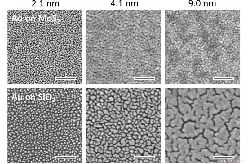 Physicists Create Atomically Thin Gold Film, Expanding Two-Dimensional Material Landscape