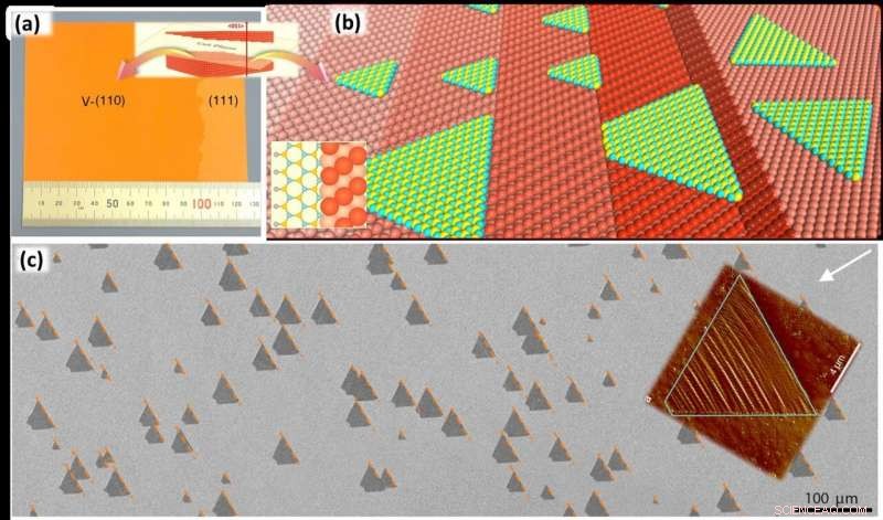 Scaling 2‑D Materials to Large Single‑Crystal Sheets