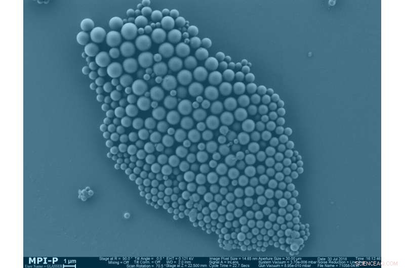 Revolutionary Biobased Nanocarriers Offer First-Ever Solution to Plant Diseases
