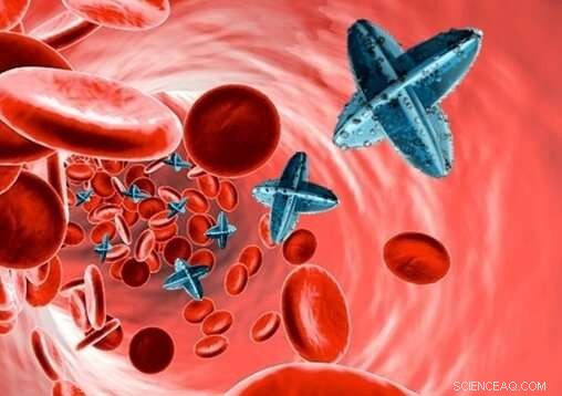 Nano-Submarines: Targeted Drug Delivery Inside the Human Body