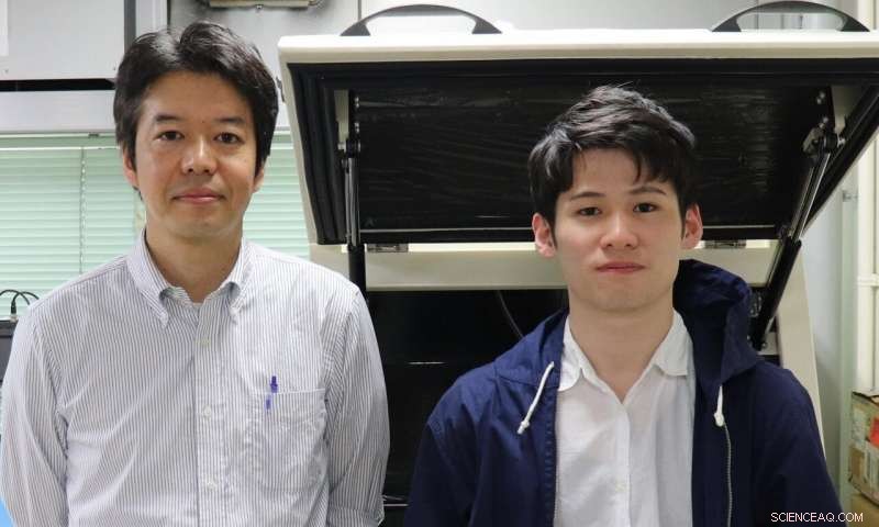 Polymers Pave the Way for Single‑Molecule Electronics