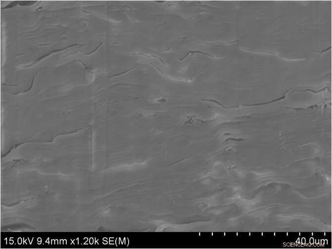 Cooling Wood: Engineers Pioneer Durable, Energy‑Saving Passive Cooling