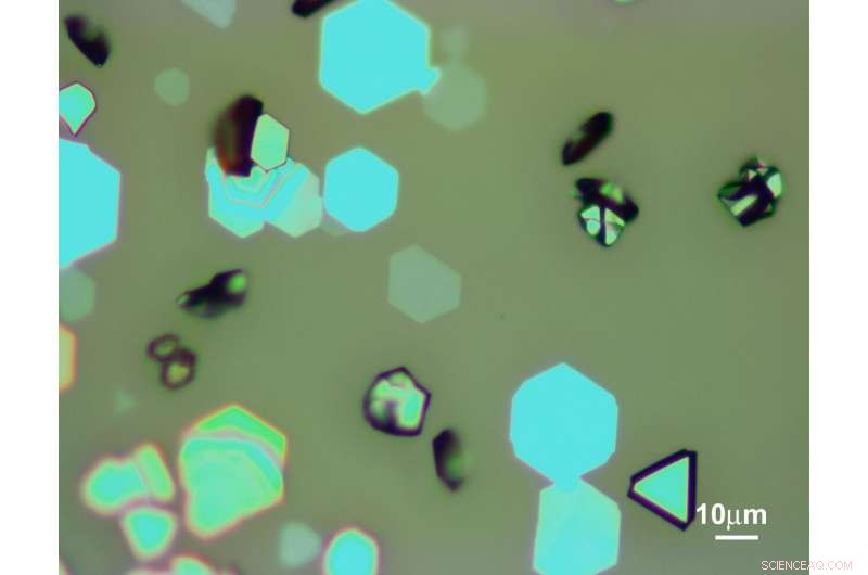 New Iron Oxide-2D Hybrid Promises Breakthroughs in Electronics and Spintronics