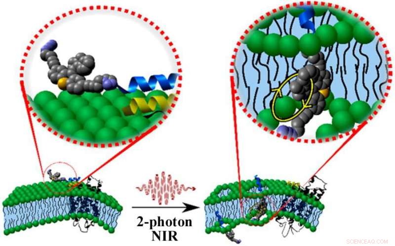 Scientists Develop Light‑Activated Molecular Motors for Targeted Cancer Therapy