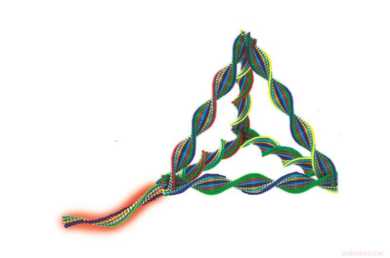 DNA Nanorobots Zero In on HER2-Positive Breast Cancer Cells for Precision Treatment