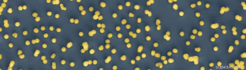 Nanoparticles from Waste: A New Frontier in Life‑Saving Treatments