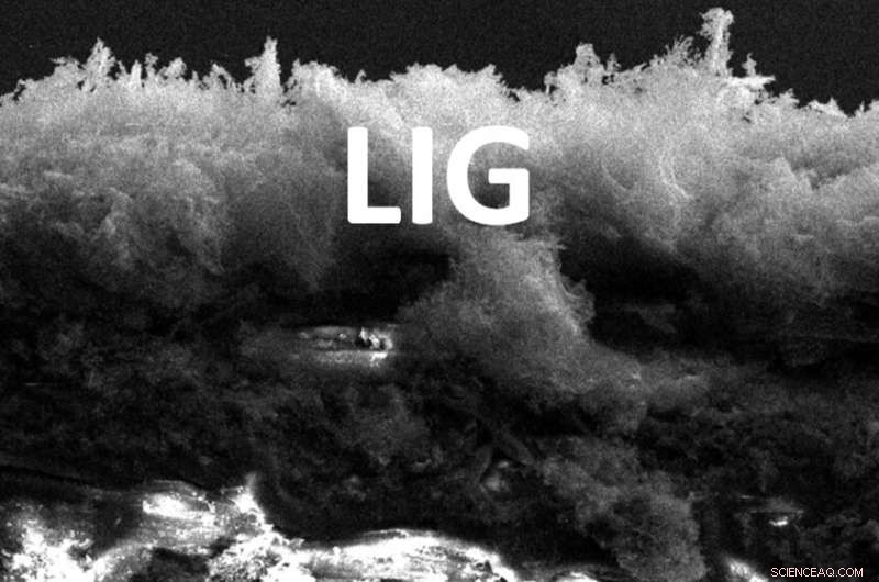 Rice University Unveils Flexible Triboelectric Generator Turning Motion into Clean Energy