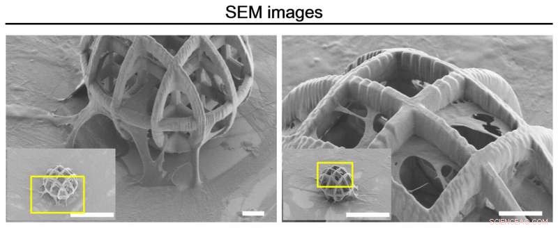 Targeted Stem Cell Delivery via Magnetically Controlled Microrobots
