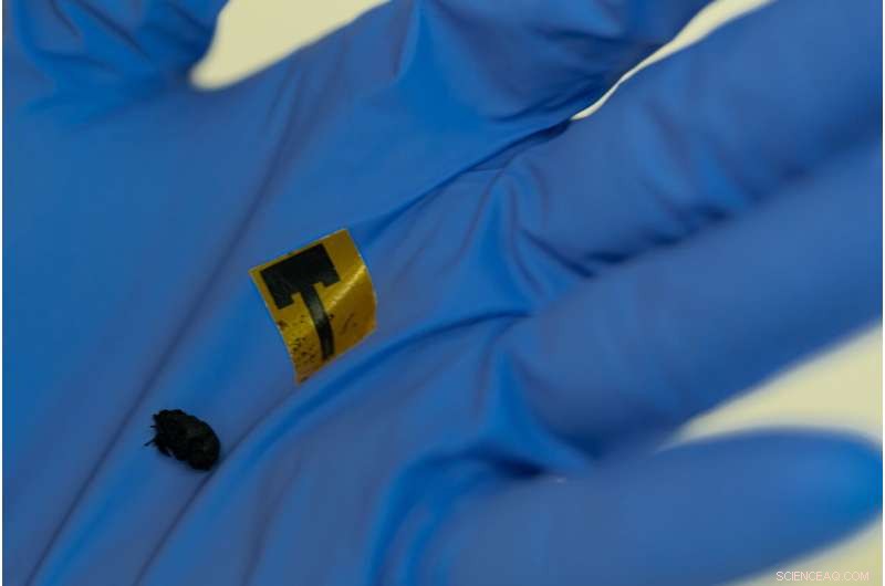 Flexible Carbon Nanotube Film Antennas Match Copper Efficiency: A Breakthrough in Electronics