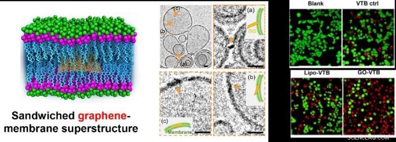 Sandwiched Graphene‑Membrane Superstructure Enables Targeted Drug Delivery: Proven Proof of Concept