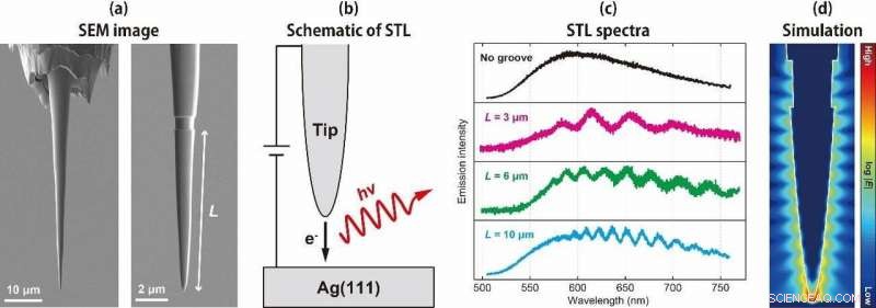 Controlling Nanoscale Light in STM Junction Nanocavities: Plasmonic Fabry–Pérot Dynamics