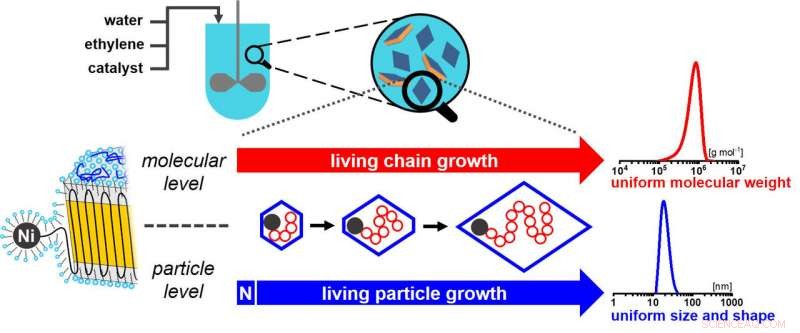 Scientists Develop Precise Polymer Nanocrystals via Controlled Aqueous Polymerization