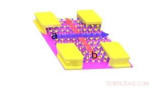 Contrasting Piezoresistive Behavior of Rhenium Disulfide Along Orthogonal Crystal Directions