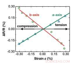 Contrasting Piezoresistive Behavior of Rhenium Disulfide Along Orthogonal Crystal Directions