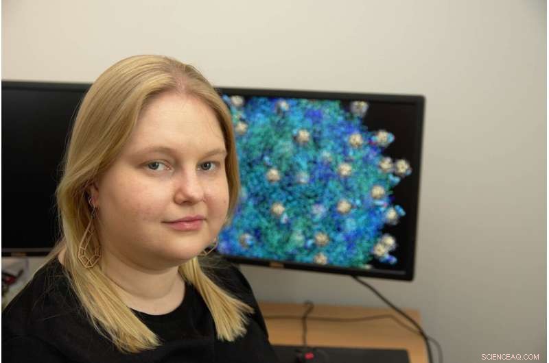 Solvent pH Governs Gold Nanocluster Interactions, Unlocking New Drug Delivery and Imaging Opportunities