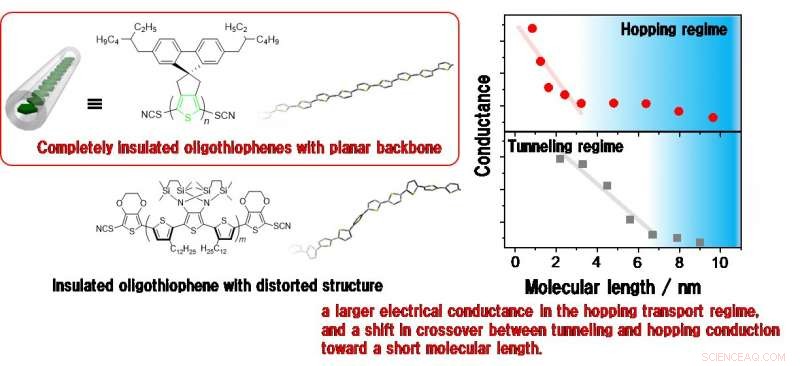 Straightening Single-Molecule Conductors Boosts Their Performance—A Surprising Discovery