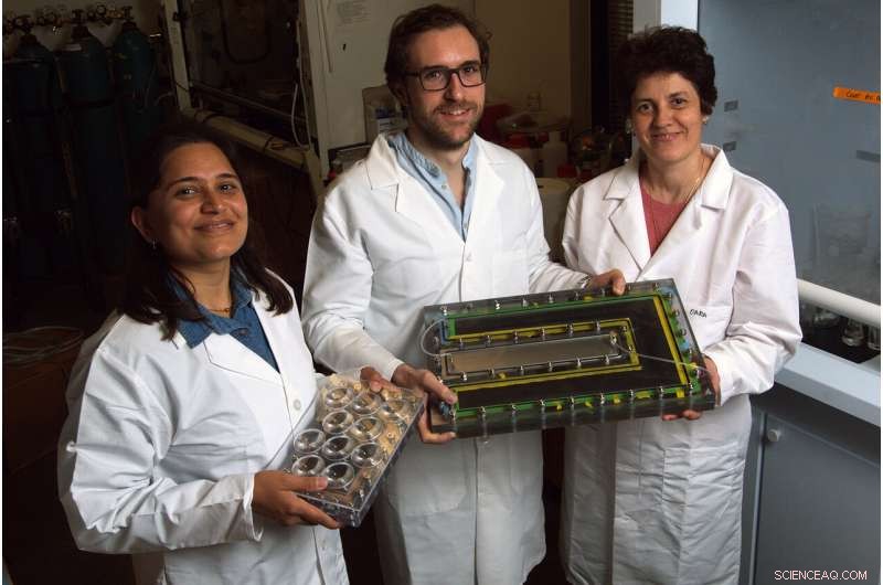 Engineers Achieve 50% Increase in Solar Desalination Efficiency Using Novel Photothermal Design