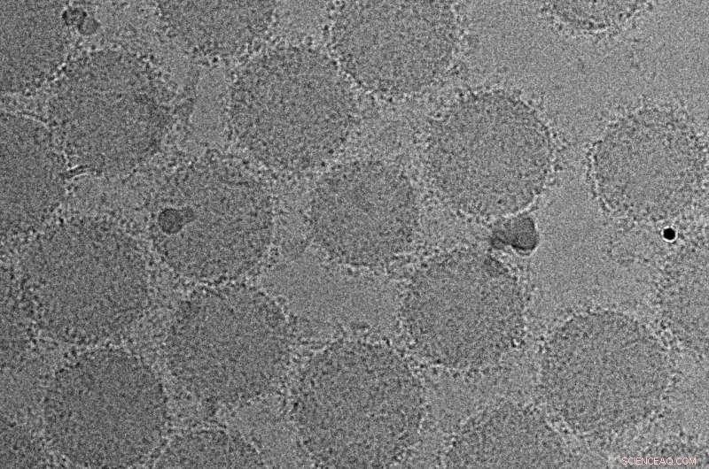 Revolutionary Nanoparticle Sensor Detects Disease Early with Unmatched Accuracy