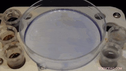 Creating Dynamic Fluid Walls for Living Cells in Microfluidic Cell Culture