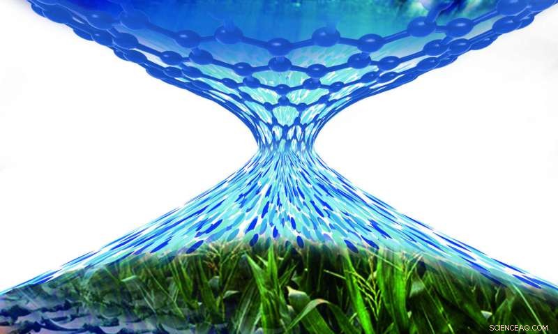 Carbon Nanotube-Enhanced Graphene Membranes for Superior Desalination Performance