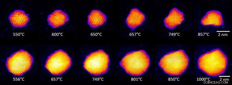 Nanoscale Gold Nanoclusters Exhibit Liquid-Like Behavior at High Temperatures