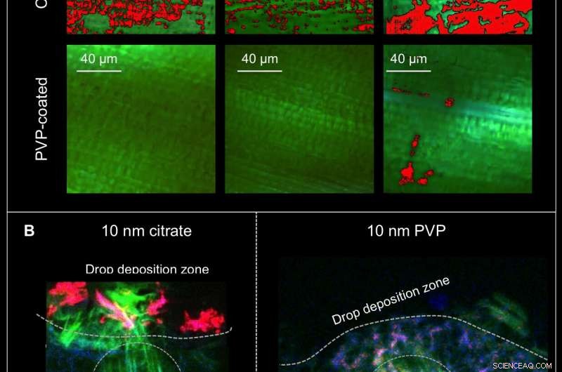 Innovative Nanoparticle Route Enhances Plant Nutrient Delivery