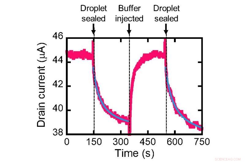 Graphene Microdroplet Sensor Detects Stomach Cancer‑Causing Bacteria