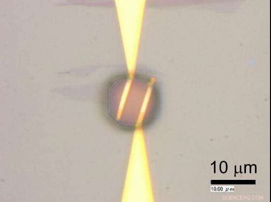 Graphene Microdroplet Sensor Detects Stomach Cancer‑Causing Bacteria