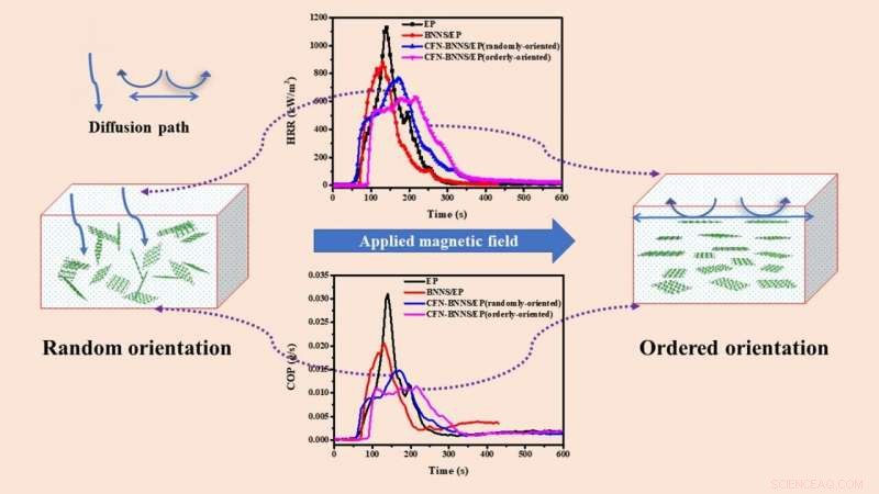 Enhancing Flame Retardancy of Epoxy Resin with Cobalt Ferrite‑Boron Nitride Nanohybrids