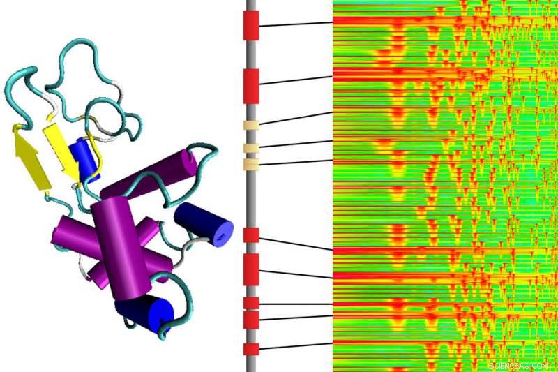 MIT Scientists Translate Protein Structures into Music to Reveal New Insights and Variations