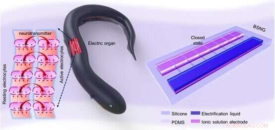 Bionic Stretchable Nanogenerator Inspired by Electric Eels