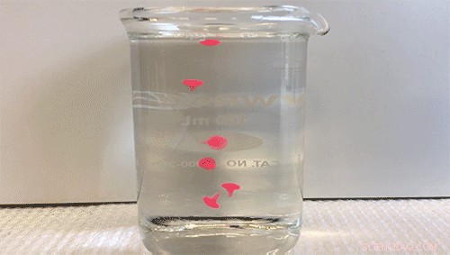 Revolutionary Nanoemulsion Gels Enable Targeted Skin Drug Delivery