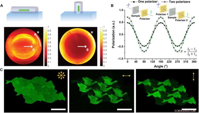 Digital Control of Perovskite Nanowire-Block Copolymer Composites for Tunable Optoelectronics