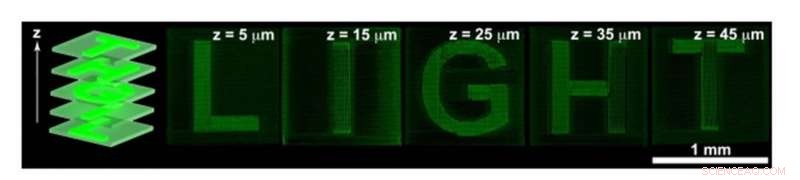 Digital Control of Perovskite Nanowire-Block Copolymer Composites for Tunable Optoelectronics