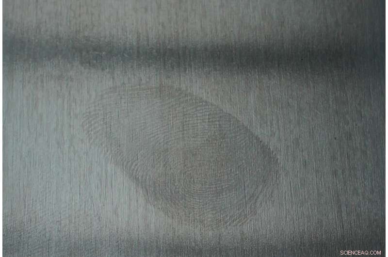 Nanocoating Eliminates Greasy Smears on Stainless Steel