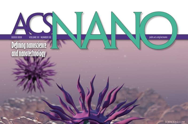 Oregon State Scientists Achieve Breakthrough in Magnetic Nanoparticle Cancer Therapy