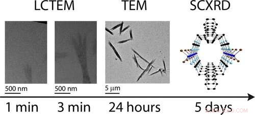 Revolutionary Electron Microscopy Reveals Real‑Time Growth of Nanomaterials