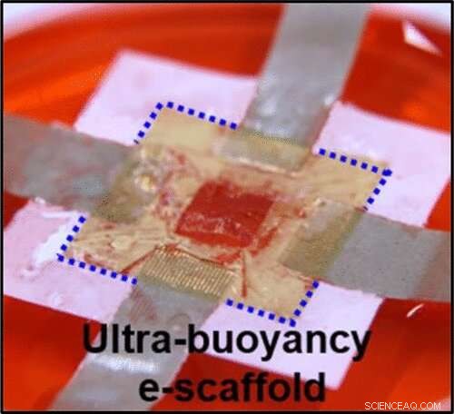 3D Body Mapping: Pinpoint and Heal Organ & Cellular Damage from Medical Conditions