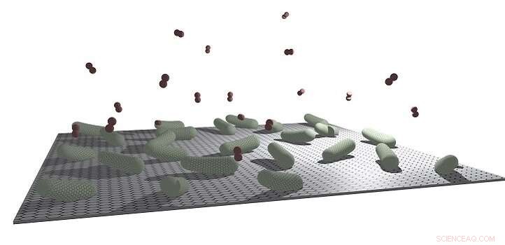 Bionic Catalysts: Harnessing Microbes and Nanomaterials for Clean Energy